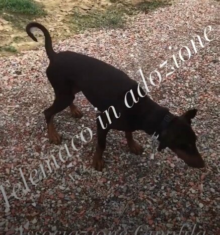 bfb1775b4471dc3ba623e2472232b34665a42fc0 bfb1775b4471dc3ba623e2472232b34665a42fc0