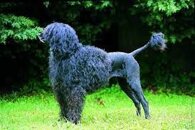 bfe755fc1672292e2ed41aeebb9fb9ef31257e9f