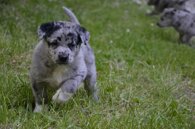 c0e243ef267c2b8a9a7852e2e2c807b573afc573