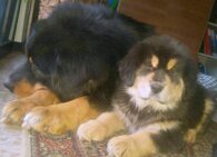 c4a12e685f86396d3b0ddec7d2346774f543fc0f c4a12e685f86396d3b0ddec7d2346774f543fc0f