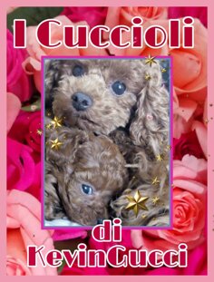 c72e51fc0a17b12ba4965e4acdc7fba4e91ffc92.jpeg c72e51fc0a17b12ba4965e4acdc7fba4e91ffc92.jpeg