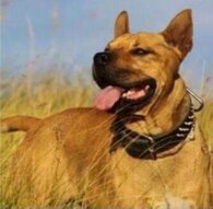 c7b9f0c1ce7c5476b9f1bb95b93b04c3749636ab