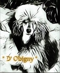 c8c60152641233906649c2ae98162f5b4ad73f2b.jpeg c8c60152641233906649c2ae98162f5b4ad73f2b.jpeg