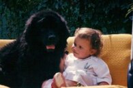 cb48ac976a42ef44dc9fd4389e781b805815d541 cb48ac976a42ef44dc9fd4389e781b805815d541