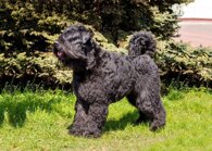 cd3149d59ad07594c7ed960763f7a0fab34bd280