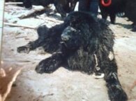 d08db802facaf42d383ec8d5d9a7d3b9ebf73953