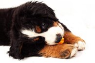 d0a93f55678050346eec3e77103937d3a649b400