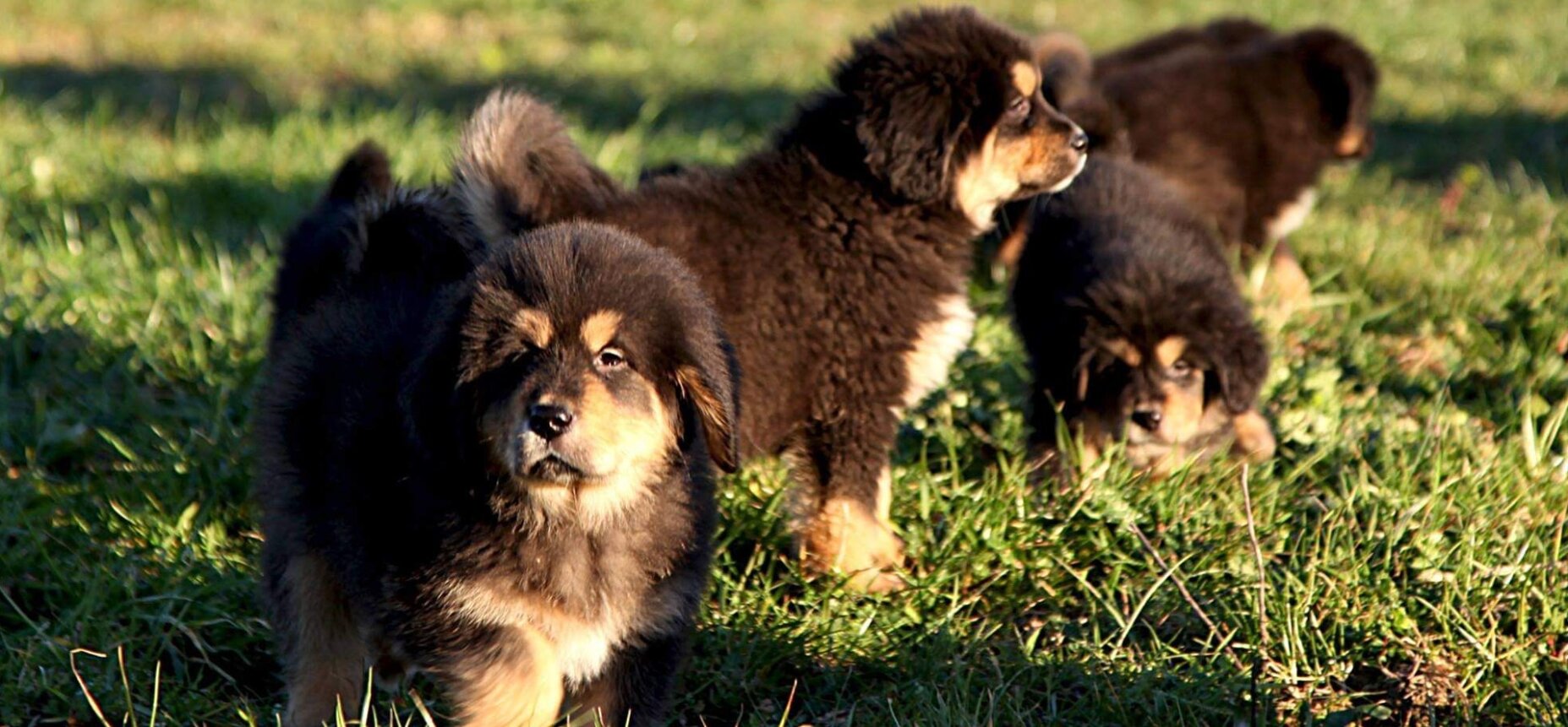 d40df4d23638d7b3ec2ed635877f5805f24010ff.jpeg d40df4d23638d7b3ec2ed635877f5805f24010ff.jpeg