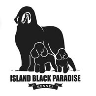 d7bd99e88dea14d4e1889c0a76f3698876693770 d7bd99e88dea14d4e1889c0a76f3698876693770