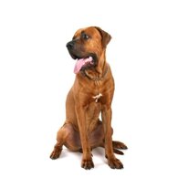 db6d474a683fc6c899576d373b8466cf1cf4876d