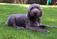 e1f9f25c3087b65a34e0a9483639623e97e881d7