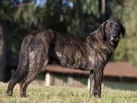 e217400f5c6643478bd5db452e8a5b5166af3964