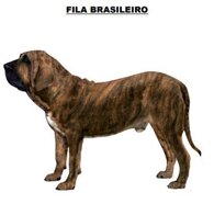 e3caf917133b94ee1362014ba65f4b4a78d53ee6