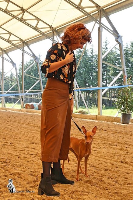 e552c09c6232072db0858dfdfe9ba5068909b93d e552c09c6232072db0858dfdfe9ba5068909b93d