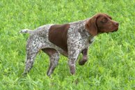 e59ca611e48ad1a8fb71259ac4fd28777551e13d