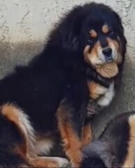 e65bac87d40443683578ca1cef2b9bc44b5a38cc