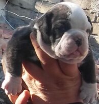 e7529e9974efacde999db4f4768f9d8a5c92cc17