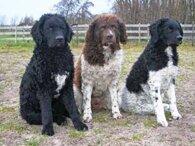 e81cc7b4f50953b7cfb91c1106f9b121655a675b