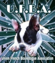 e85b779e258d5a41128877d660776a86cd89c49a e85b779e258d5a41128877d660776a86cd89c49a