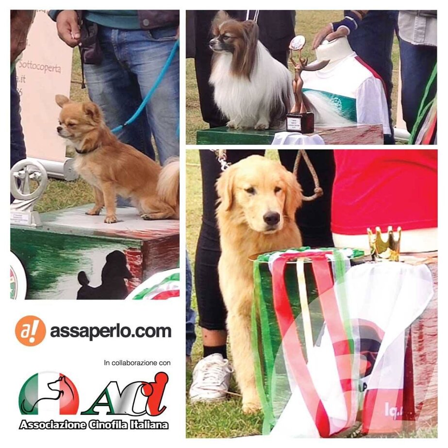 e91c75bd681839d4f57f6c70bf605f876ec25e4f