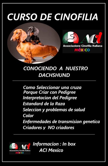 ea53511ef0149558a19db6eba7e58c37d9f91048 ea53511ef0149558a19db6eba7e58c37d9f91048