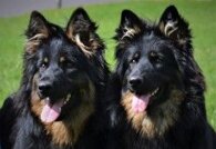 ea9829532e9b89f70e44538eb1b6145eccc3e61f