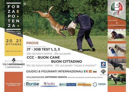 ee35f12e5fde2c3d73c60f2935c00eae3fe98dc6 ee35f12e5fde2c3d73c60f2935c00eae3fe98dc6