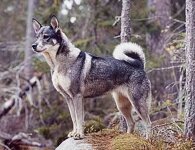 eef8bd54bc501803307cab61216491515b712820