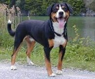 ef0ee50738ead19b67a5a289b5a673660879f97a