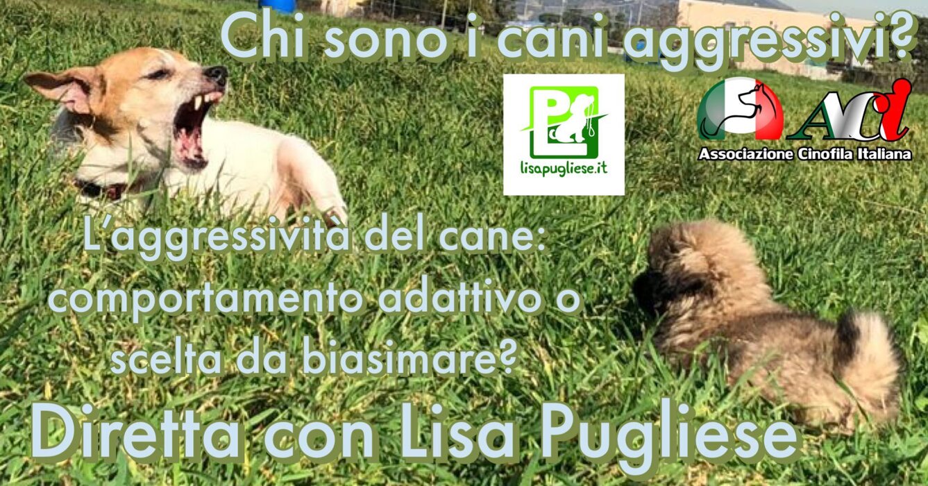 efc78c8a6ebde7cf5101b2bdc1667cb2eb020eca efc78c8a6ebde7cf5101b2bdc1667cb2eb020eca