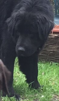 f448c59e1de6cb7be36dd6ba2dd48174d28cc2d5