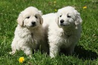 f83bfc44e0b149c05e2c16c278d3a18fcf5e6c68