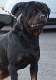 f9011b19db024fea1e6f4d1082da30dd87318031