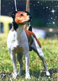 faca69525f13a69afb26a2016b667f9dd4e16c8e faca69525f13a69afb26a2016b667f9dd4e16c8e