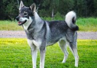 fc4bdd52d4af14bf7763de3e41ea32a4c17744f4