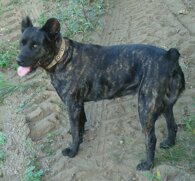 fd06c47914c5d4201ee803200033fbf651d24604