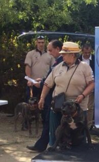 fd5d8183fa562d7788f82fb5ccdcbfcb0c6c01e7