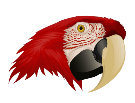 016f50cd7fe250419fc73518ec9cac9f1b2ed9f6