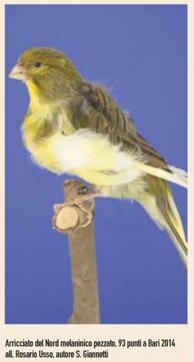 0be7314724f86372f6486412fb3ed883a7de42ad