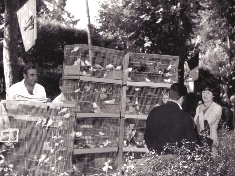 382d3c23d746b20c95e588da55a3fd5527dcf007