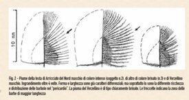 531097d6124e91c34de310d1f4db292e78c809aa