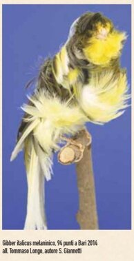 588af68786bb93e7b86c3ca02c92951b0fbd3fd8