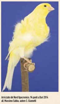 708f623e4a7f4fd85d77bf22312b4ceae6901cfd