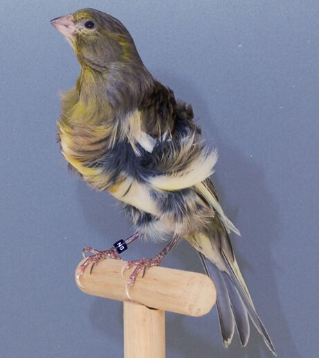 72a6ecbd18ed334041eec423a88a39f719f34252 72a6ecbd18ed334041eec423a88a39f719f34252