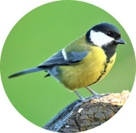 7c10a494e293efa2f44b3ba872efa1a11cd26a8b