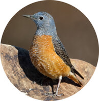 a2c3ca51ae08ff3f07b554c4cef84bc52134473b