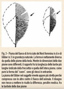 cc85f3c4735566d52a9ca26fb864230115af2e47