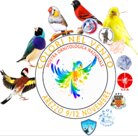 cd4eb998f6f323b2c709ffc8574df85894a4290b