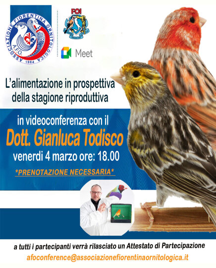 d44781b323303d89f8dabaa5aaccbfbe2e9063a6