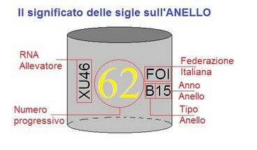 ea1fa1c93b3501e9ac39d0e98a32bf8f13f6ceb4